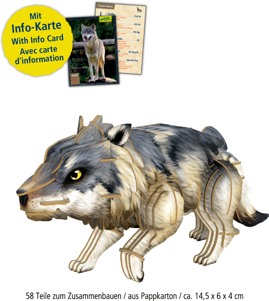 3D-Pappmodell-Animation eines Wolfs mit naturgetreuer Fellzeichnung und beiliegender Infokarte im Hintergrund zum Zusammenbauen.