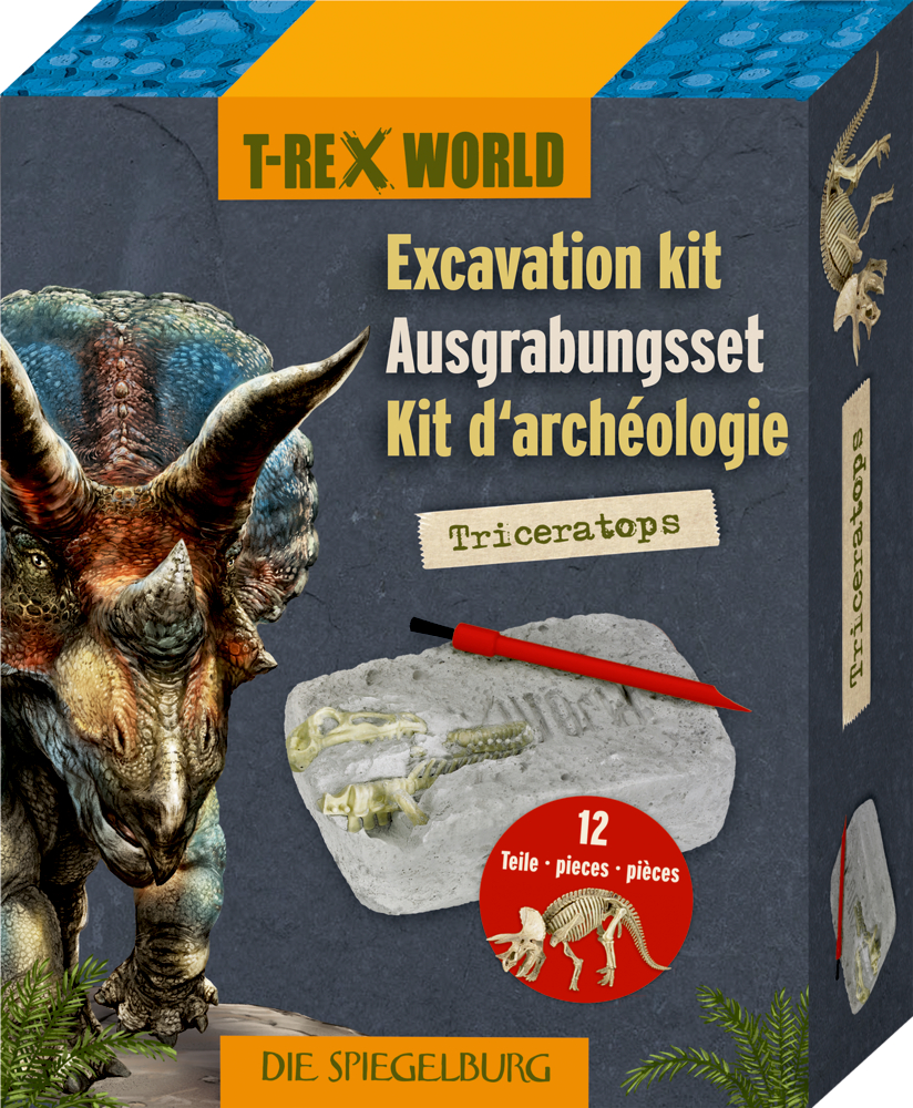 Graue Pappbox mit Triceratops und einem Ausgrabungsset.