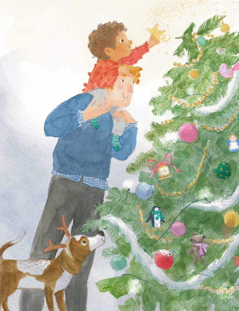 Das kleine Weihnachtssternchen