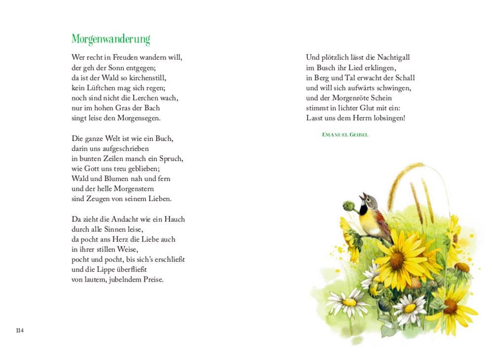 Aufgeschlagene Buchseite mit deutschem Text und einer Illustration von gelben Wildblumen und grünen Blättern unten rechts.