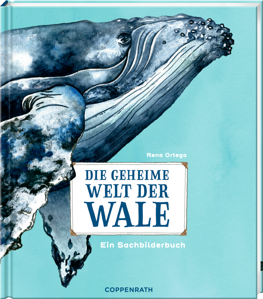 Buchcover mit Aquarell-Walillustration und dem  Titel „Die geheime Welt der Wale“.