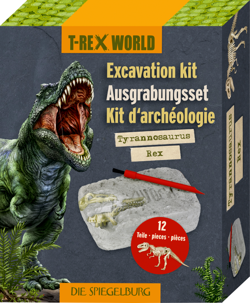 Graue Pappbox mit brüllendem T-Rex und einem Ausgrabungsset.