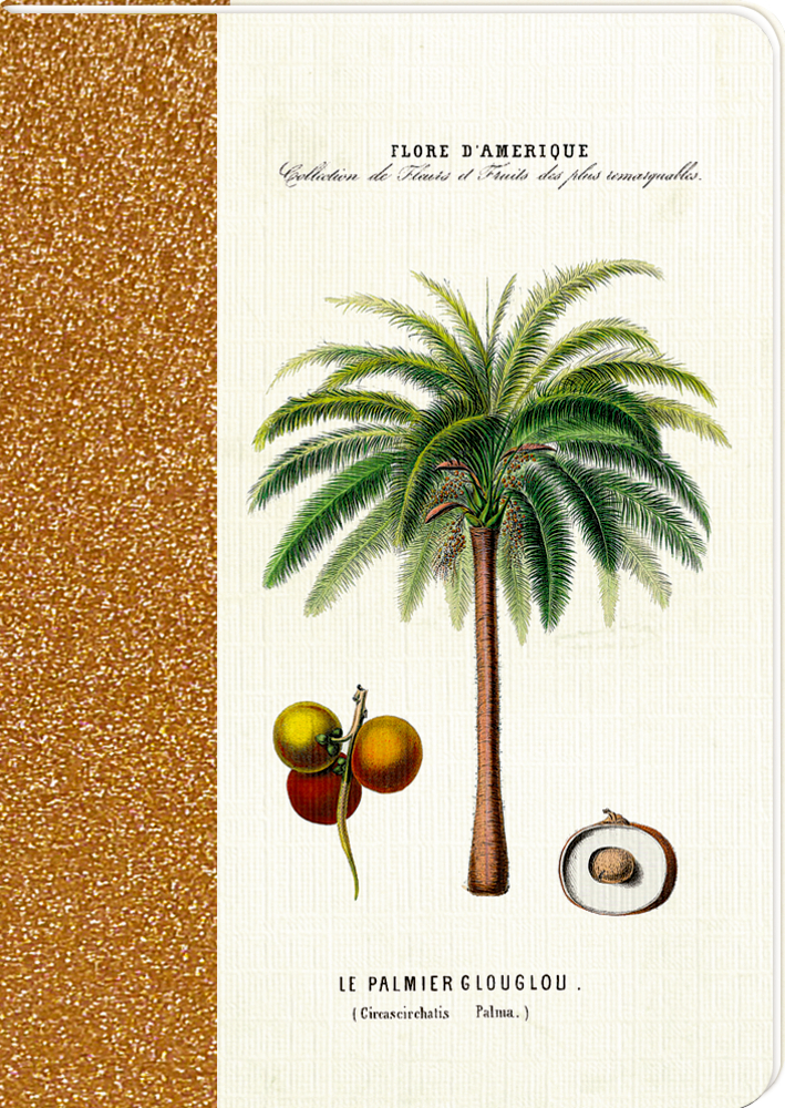 Vintage-Illustration einer Palme mit Früchten, beschriftet mit „Le Palmier Glouglou“, auf strukturiertem Hintergrund.