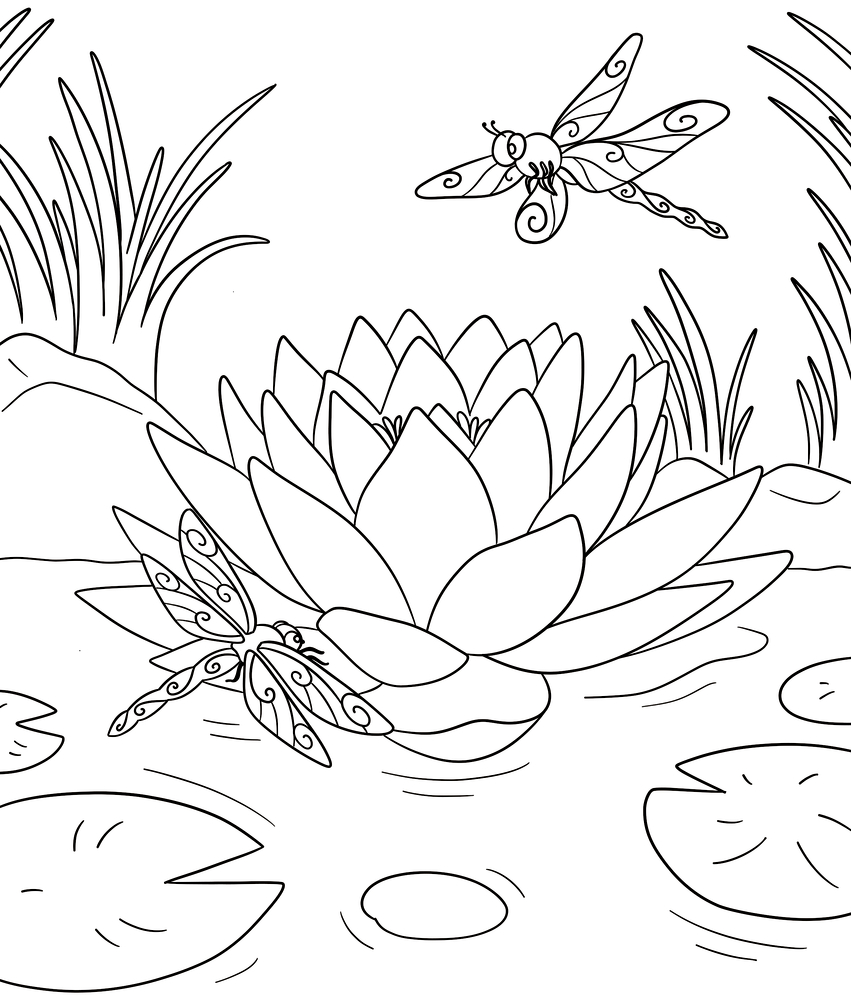 Libellen fliegen über ein großes Seerosenblatt im Teich. Im Hintergrund wachsen hohe Gräser und weitere Seerosenblätter.