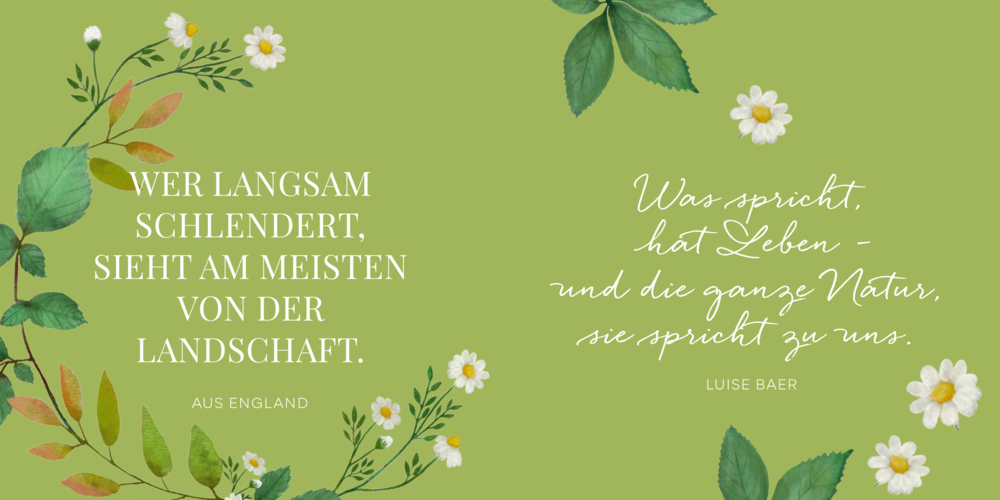 Grüner Hintergrund mit weißen Sprüchen über Natur, verziert mit gemalten Blättern und weißen Gänseblümchen.