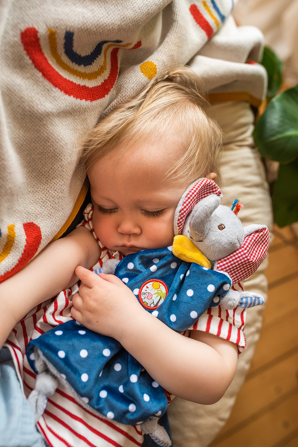 schlafendes Kleinkind ein Elefanten-Schnuffeltuch im Arm.