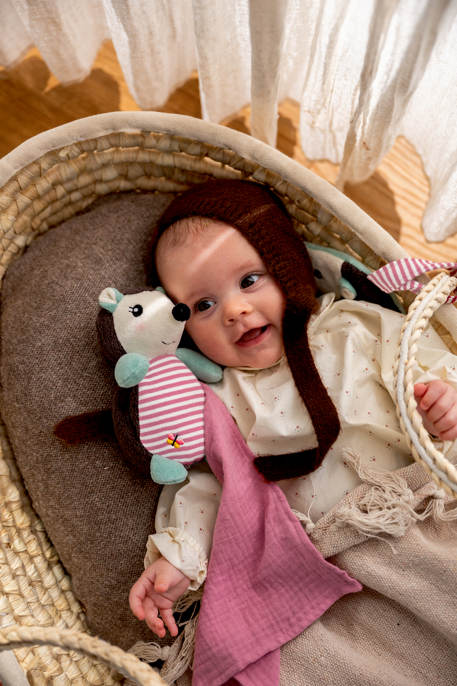 Baby mit brauner Mütze liegt in einem Korb auf braunem Kissen und hält ein Stofftier in Form eines Igels.
