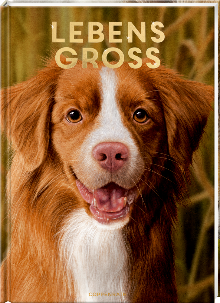 Buchcover mit gemaltem Porträt eines braun-weißen Hundes mit offenem Maul und Text „Lebens Gross“.