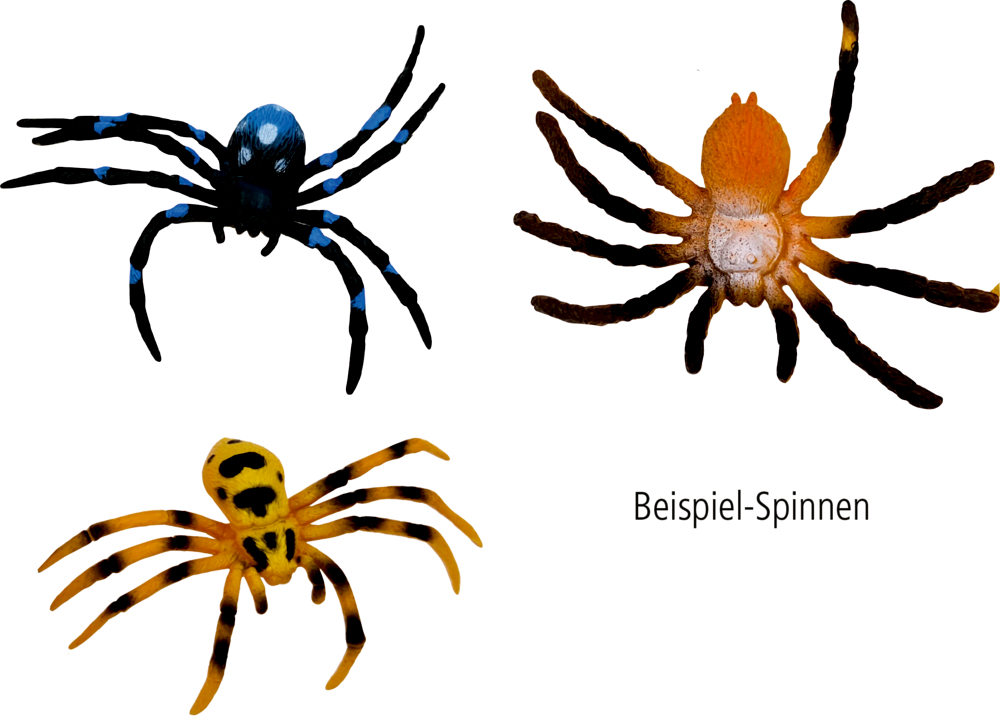 Drei bunte Spinnen – blau-schwarz, gelb-schwarz und orange-braun – mit der Bezeichnung „Beispiel-Spinnen“.