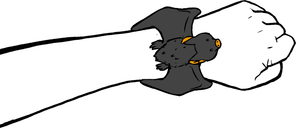 Illustration einer Fledermaus mit ausgebreiteten Flügeln, die um ein Handgelenk gelegt ist.