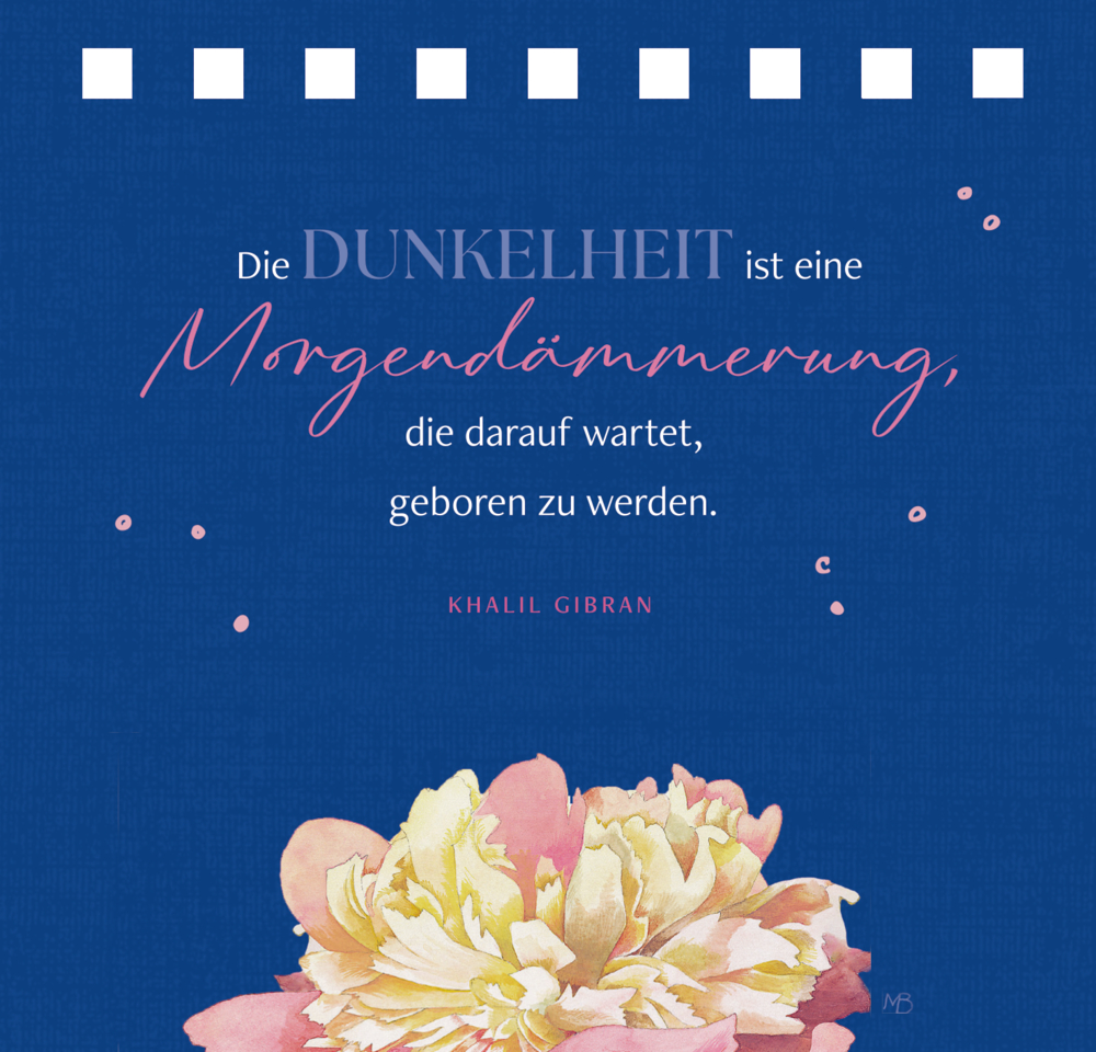 Dunkelblauer Hintergrund mit Zitattext und unten dargestellter rosa-gelber Blüte.