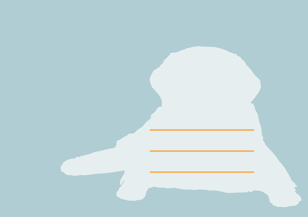 Hellblauer Umschlag mit heller Hunde-Silhouette als Adressfeld mit drei orangefarbenen horizontalen Linien darauf.