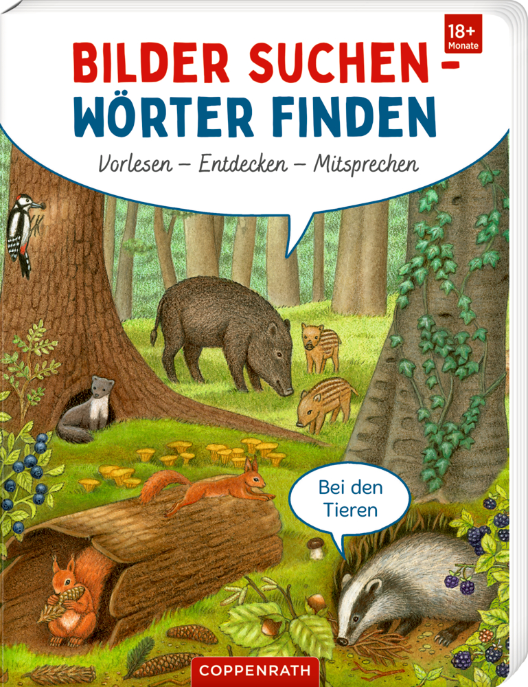 Buchcover von "Bilder suchen - Wörter finden", mit Waldillustration von Wildschwein, Dachs, Fuchs, Eichhörnchen, Specht und Pilzen zwischen Bäumen.