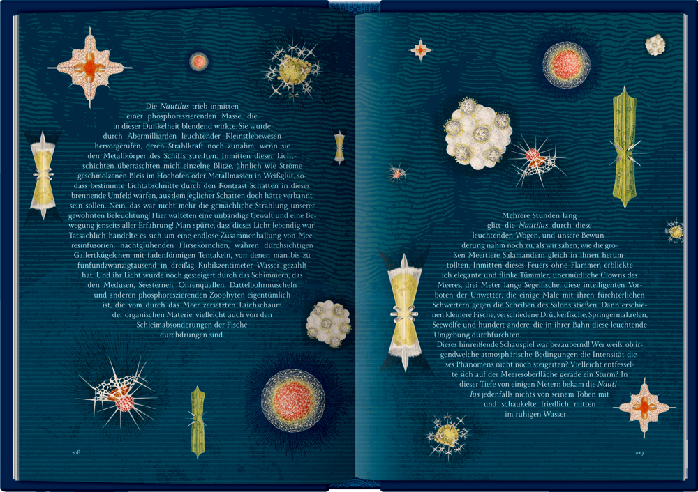 Offenes Buch mit Text und farbenfrohen Illustrationen mikroskopischer Meereslebewesen auf blauem Hintergrund.