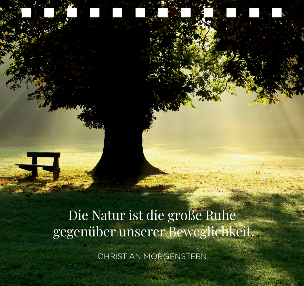 Großer Baum im Sonnenlicht auf einer Wiese mit einer Holzbank, Zitattext im unteren Bildbereich sichtbar.