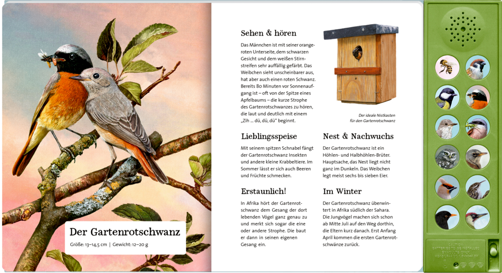 Der Gartenrotschwanz, abgebildet auf einer Doppelseite mit Informationen über diesen und einer Soundleiste rechts.