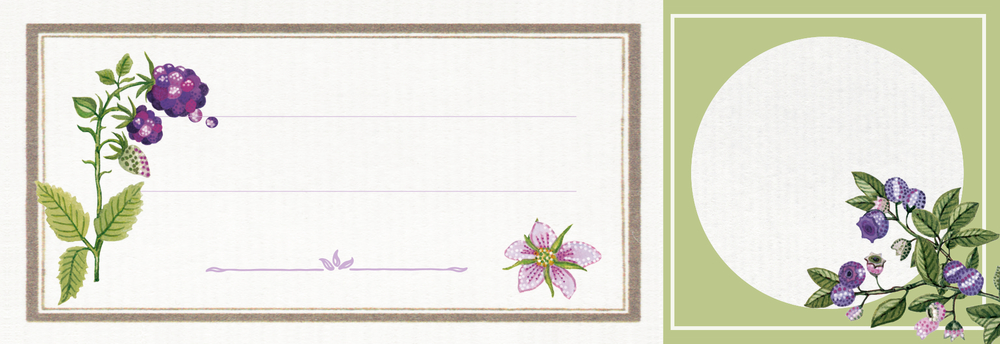 Zwei Etiketten mit gezeichneten Brombeerzweigen und Blüten, eines mit lila Linien, das andere mit grünem Hintergrund und weißem Kreis.