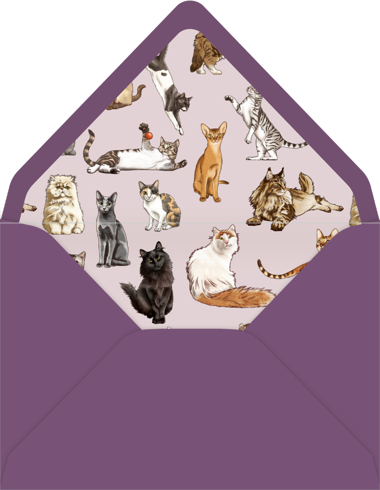 Lila Umschlag mit Innenfutter, das mit Illustrationen verschiedener Katzen bedruckt ist.