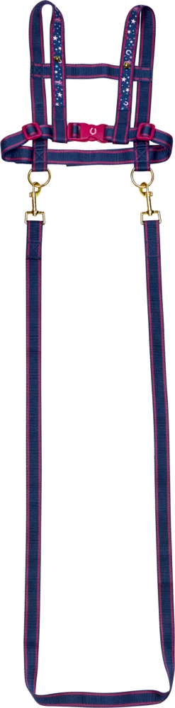 Blau-rosa Spielzeug-Pferdleine mit goldenen Clips.