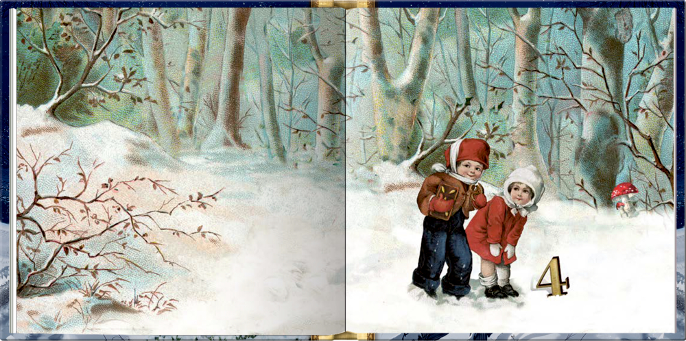 Raunächte und Winterzauber, Das kleine Adventsglück - Adventskalenderbuch (Behr)