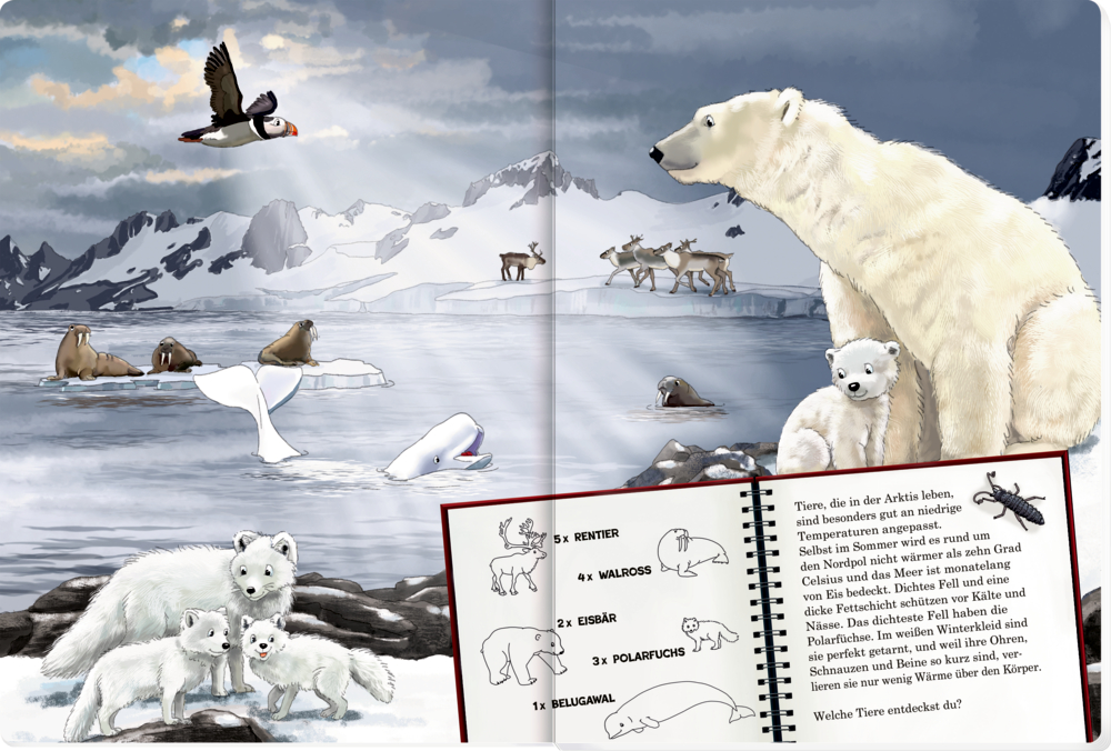 Illustration mit verschiedenen Polartieren in arktischer Schneelandschaft. Dazu Infotext.