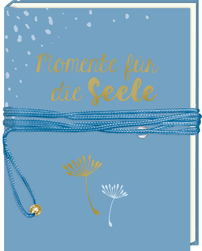 Blaues Tagebuch mit gold-weißem „Momente für die Seele“-Schriftzug, zwei Pusteblumen und einer blauen Kordel.