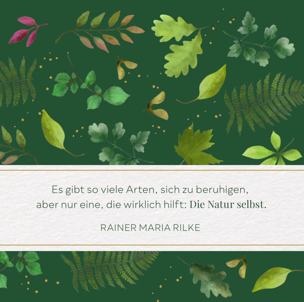 Zitat von Rainer Maria Rilke auf grünem Hintergrund mit verschiedenen Blättern und Farnen.