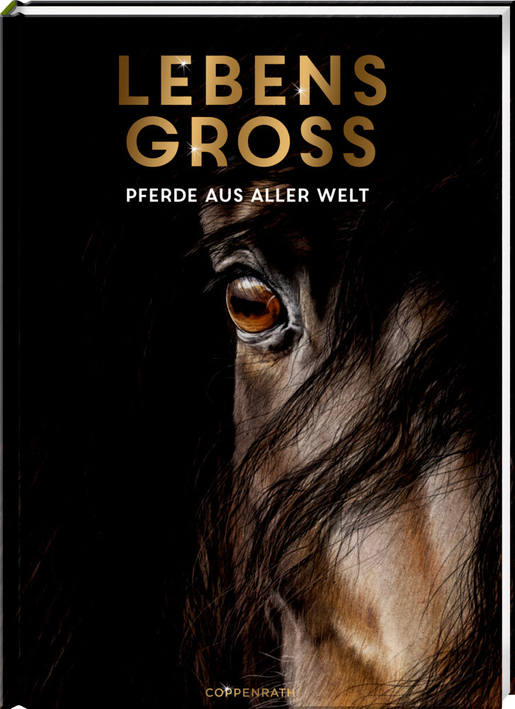Nahaufnahme eines Pferdeauges auf dunklem Hintergrund, des Cover "Lebens Groß – Pferde aus aller Welt".