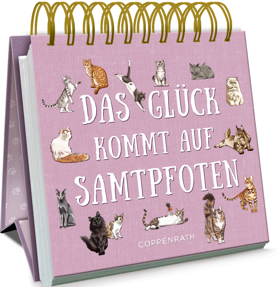 Rosafarbenes Spiralaufstellbuch mit illustrierten Katzen und dem Spruch „Das Glück kommt auf Samtpfoten“.