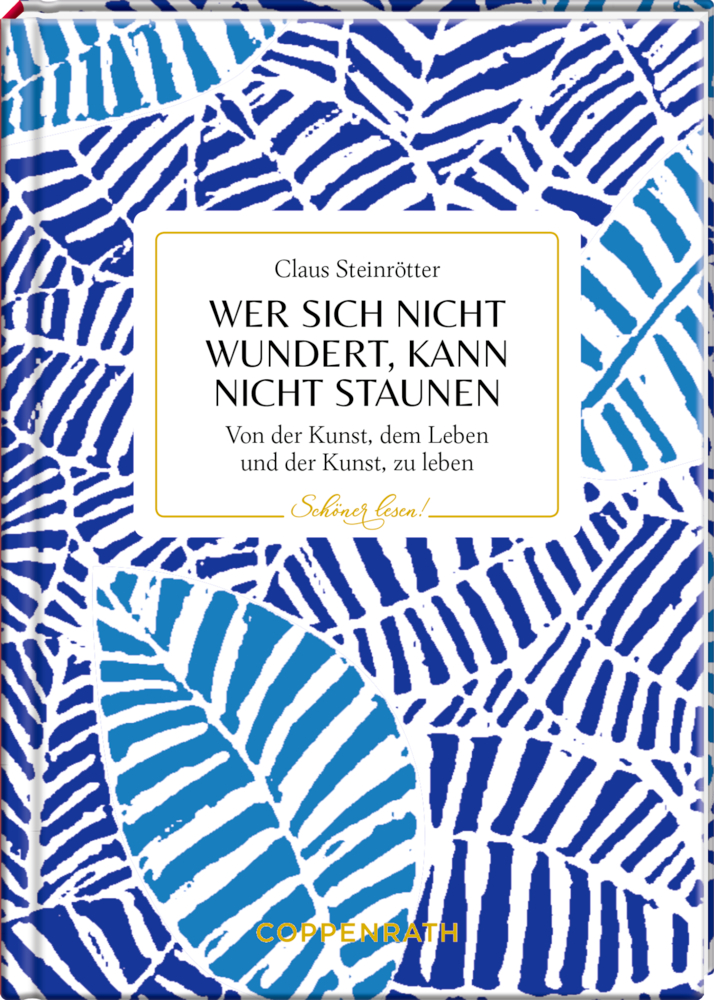 Blau-weißer abstrakter Bucheinband mit Titel "Wer sich nicht wundert, kann nicht staunen" und goldenen Akzenten.