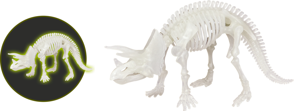 Im Dunkeln leuchtendes Triceratops-Skelettspielzeug aus Kunststoff, leuchtend abgebildet und unter normalem Licht.