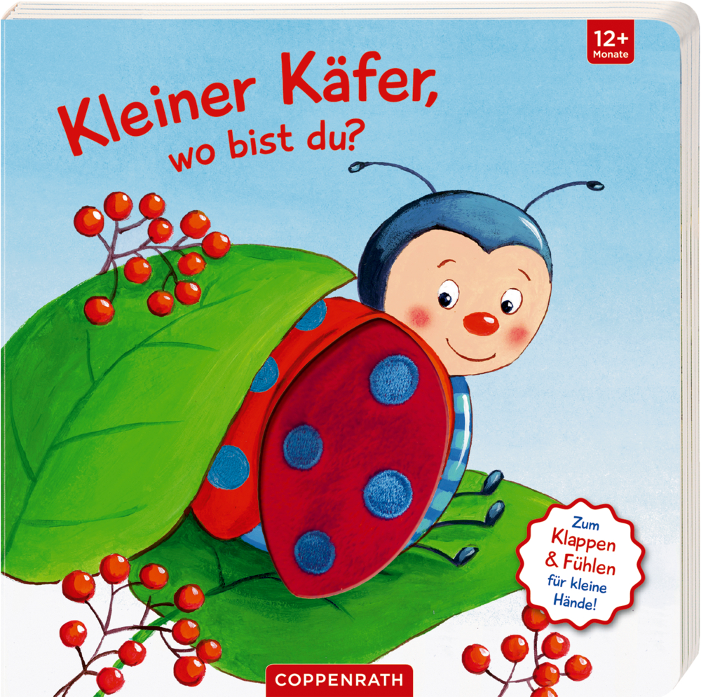 Lächelnder Marienkäfer auf einem Blatt mit roten Beeren, abgebildet auf dem Cover eines Kinderbuchs.