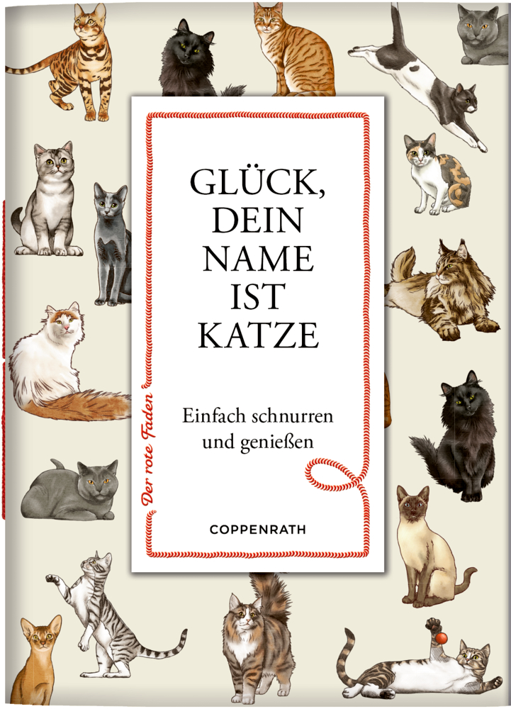 Buchcover mit illustrierten Katzen mit dem Text „Glück, dein Name ist Katze“.