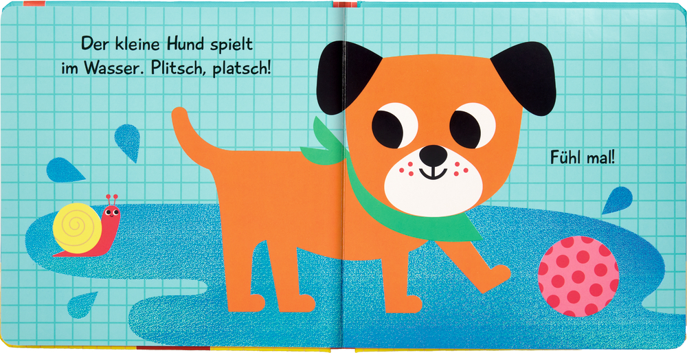 Hund spielt in einer Pfütze mit einem Ball und einer Schnecke. Text auf blauem Hintergrund mit Gitternetzmuster.