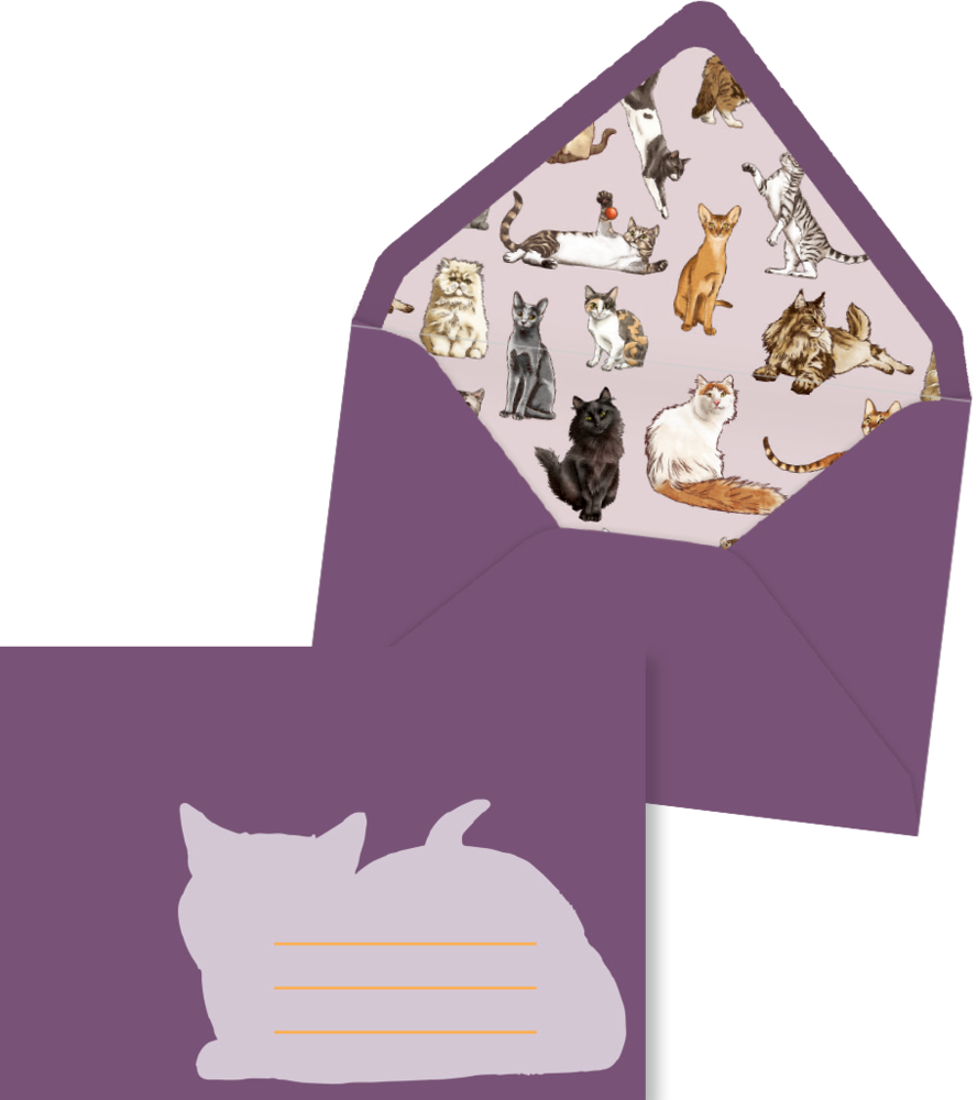 Lila Umschlag mit Katzenmotiven innen und mit Katzenumriss und Linien außen.