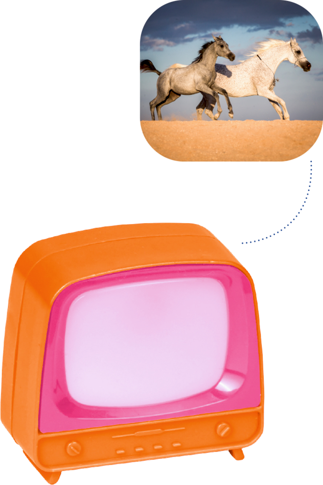Auf einem orangefarbenen Spielzeugfernseher sind zwei Pferde zu sehen, die über Sand laufen.