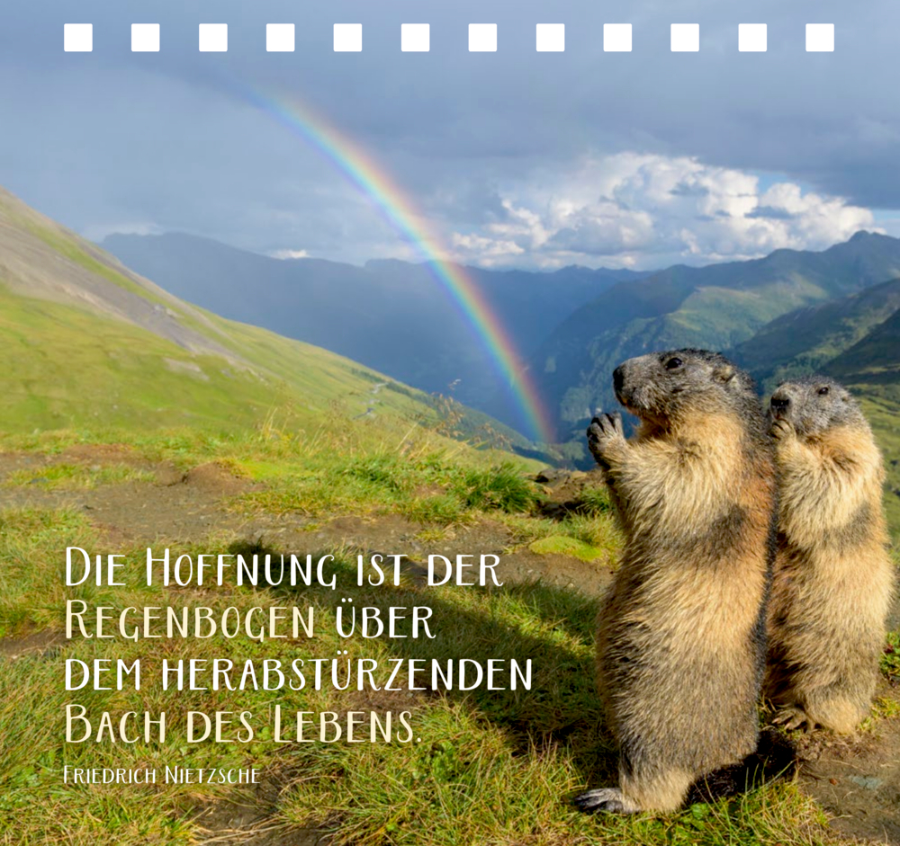 Zwei Murmeltiere stehen auf einer Wiese in den Bergen, im Hintergrund ist ein Regenbogen über dem Tal zu sehen.
