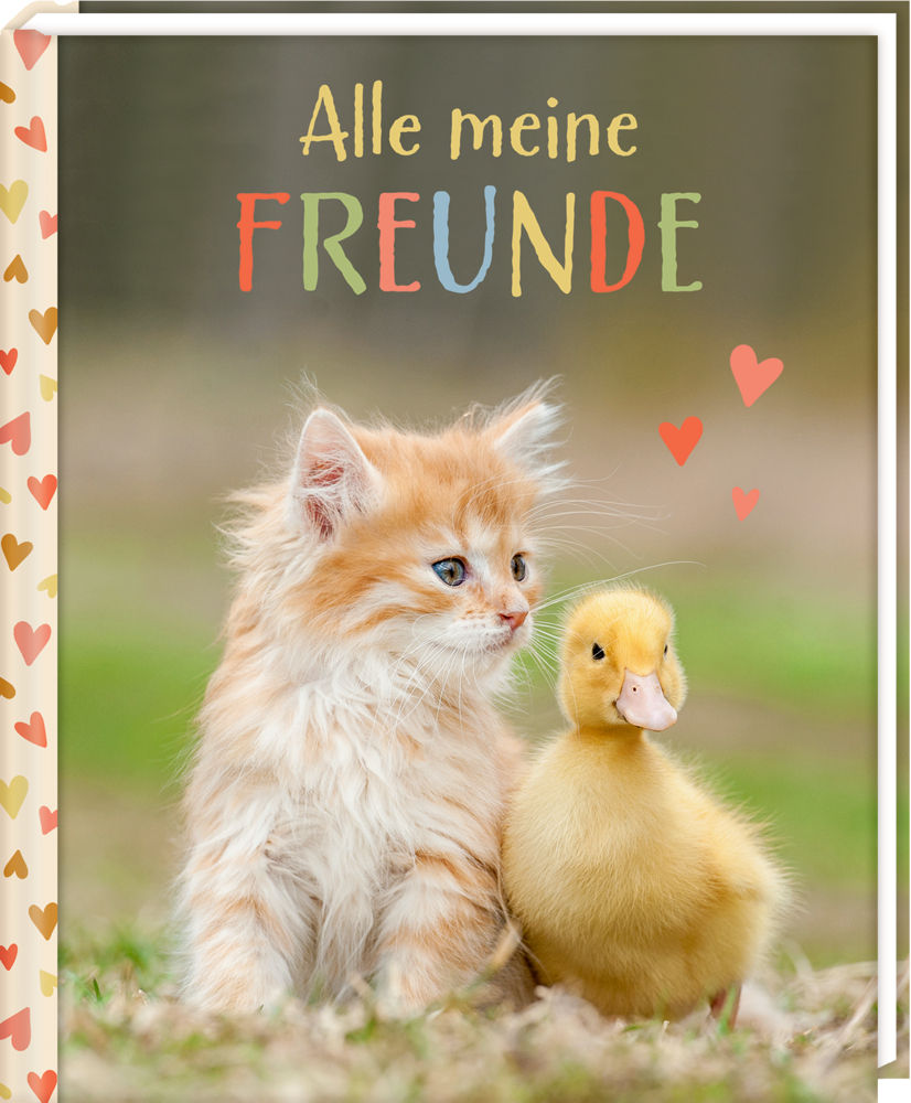 Orangefarbenes Kätzchen und gelbes Entenküken sitzen auf Gras, mit dem Titelschrfitzug „Alle meine FREUNDE“ und Herzsymbolen.