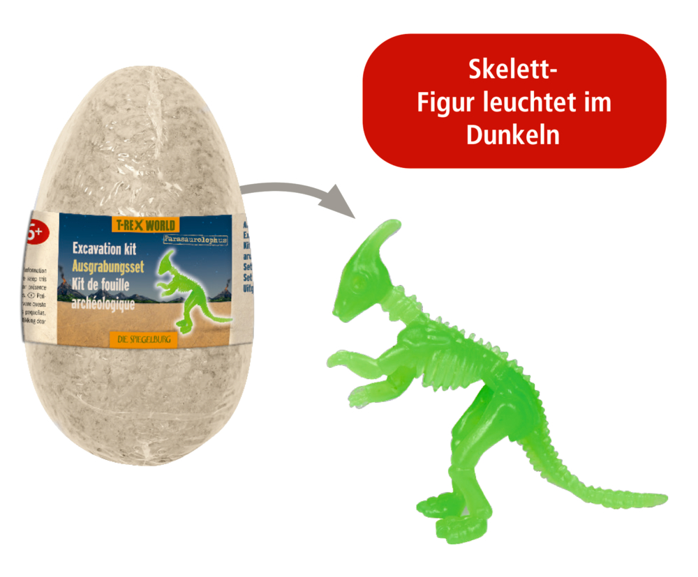 Graues Ausgrabungsei mit Etikett und grüne Dinosaurier-Skelettfigur aus Kunststoff daneben. Hinweistext „Skelett-Figur leuchtet im Dunkeln“.