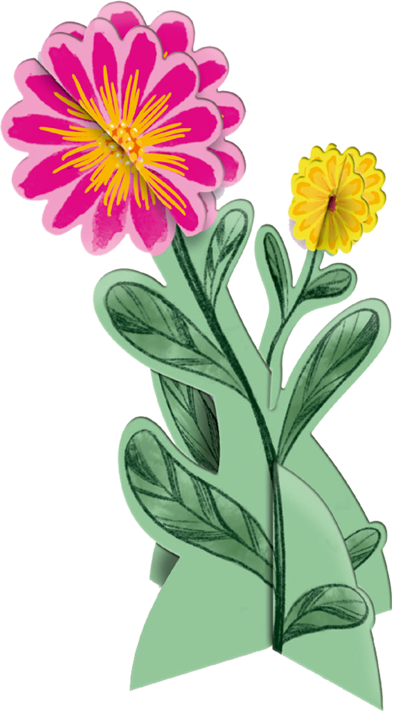 Zwei Blumen, eine pinkfarbene und eine gelbe, mit grünen Blättern und Stielen auf weißem Grund.