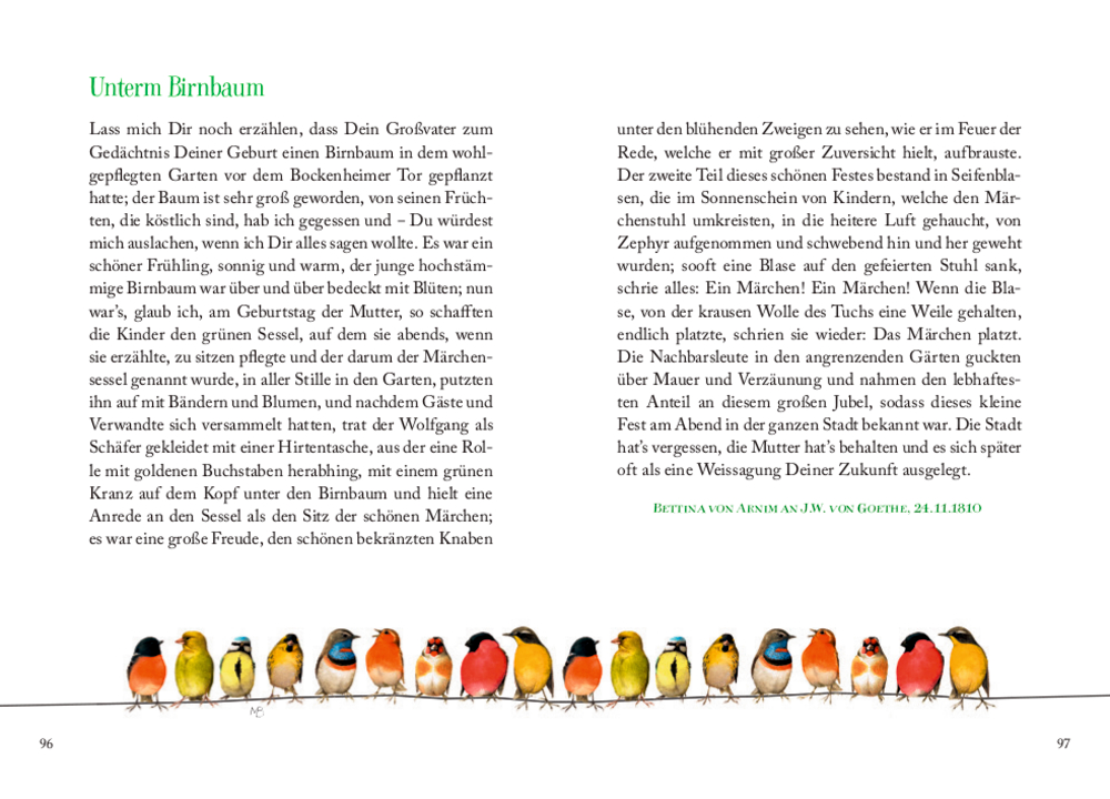 Offenes Buch mit deutschem Text und bunt illustrierten Vögeln, die am unteren Rand aufgereiht sind.