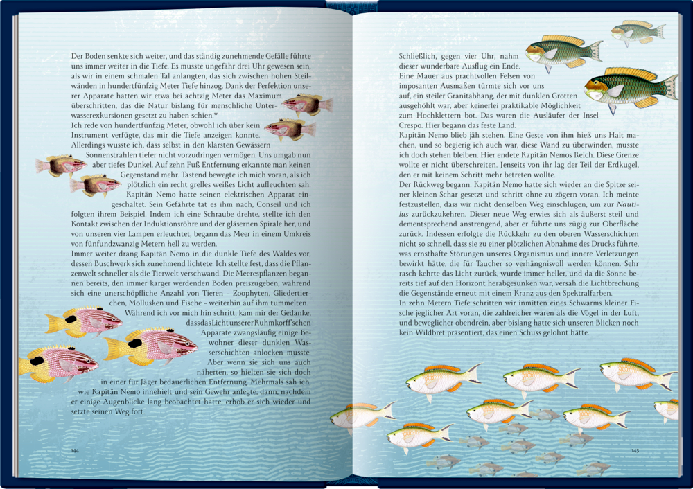 Bunte Fische schwimmen auf blauem, welligem Hintergrund durch die illustrierten Buchseiten mit Text.