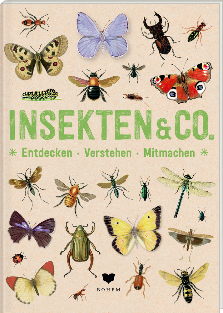 Farbenfroher Buchumschlag mit illustrierten Insekten und Schmetterlingen, betitelt „INSEKTEN & CO.“.