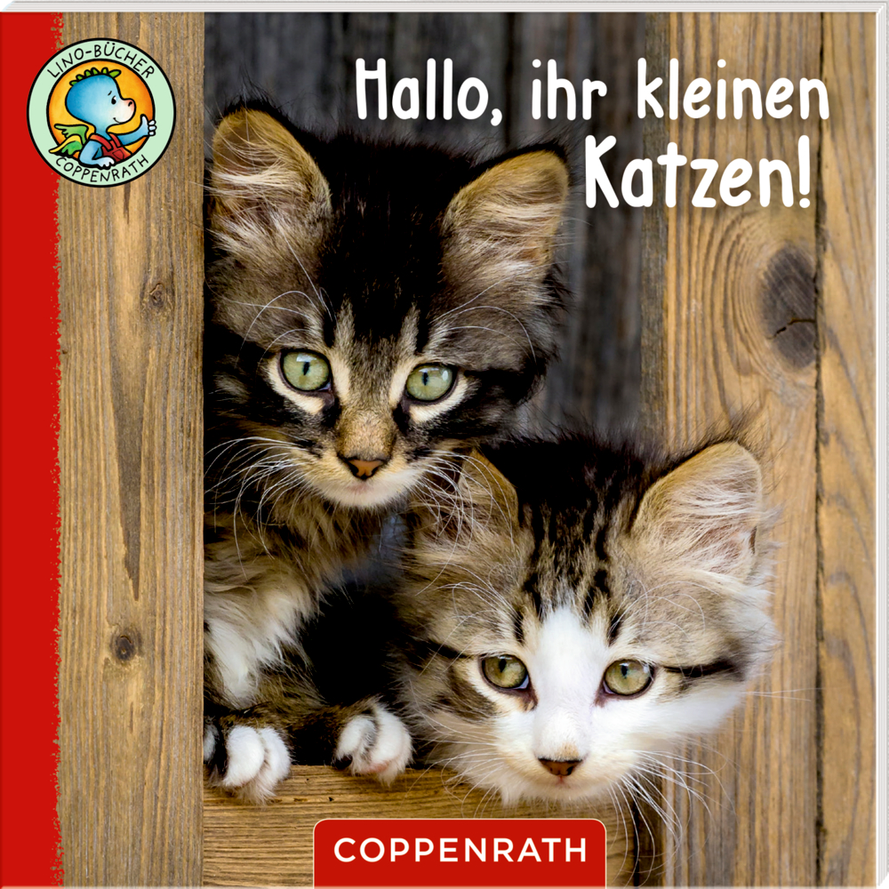 Zwei flauschige Kätzchen schauen aus einer Holzstruktur hervor. Rechts steht Text: Hallo, ihr kleinen Katzen!