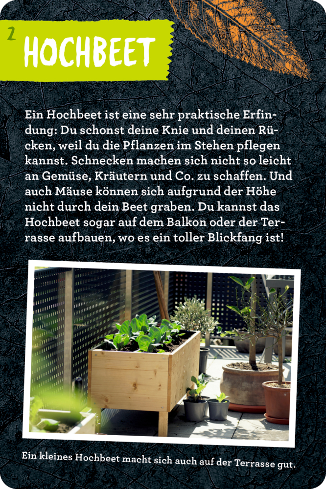 Karte auf dem der nutzten von einem Hochbeet erklärt wird und ein kleines Hochbeet mit Grünpflanzen abgebildet ist.