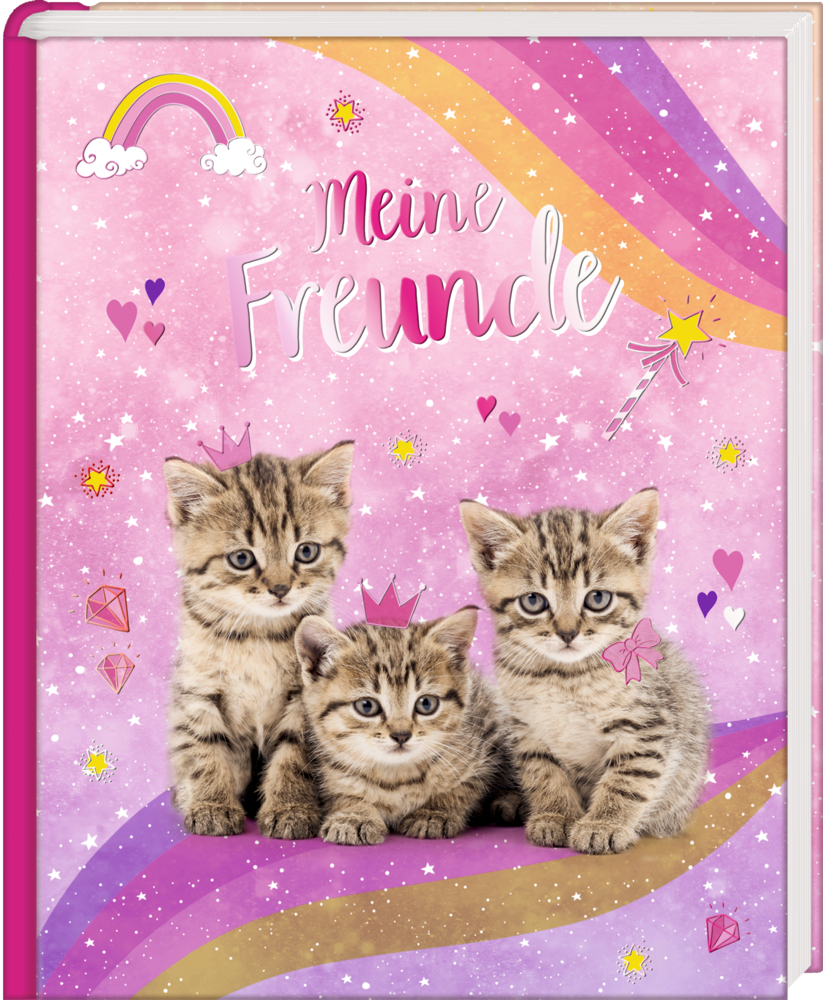 Cover eines Freundebuchs: Drei getigerte Kätzchen mit rosa Kronen vor rosa Hintergrund mit Sternen, Herzen, Diamanten und dem Titel „Meine Freunde“.