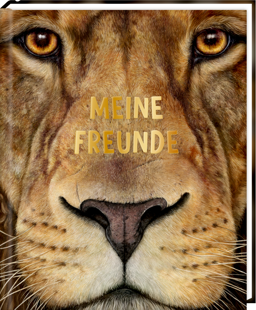 Nahaufnahme des Löwengesichts mit „MEINE FREUNDE“ in goldenen Buchstaben auf der Stirn.