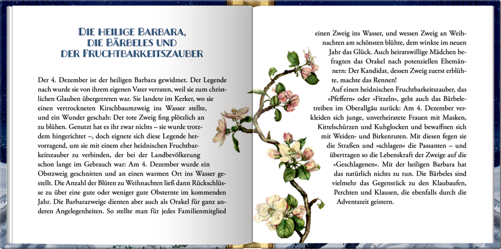 Raunächte und Winterzauber, Das kleine Adventsglück - Adventskalenderbuch (Behr)
