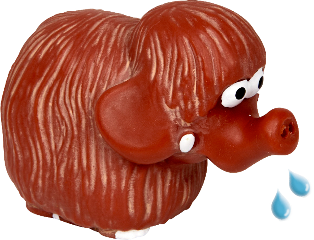 Ein braunes, pelziges Tier mit großen Ohren, Augen und einem Rüssel spitzt Wasser.