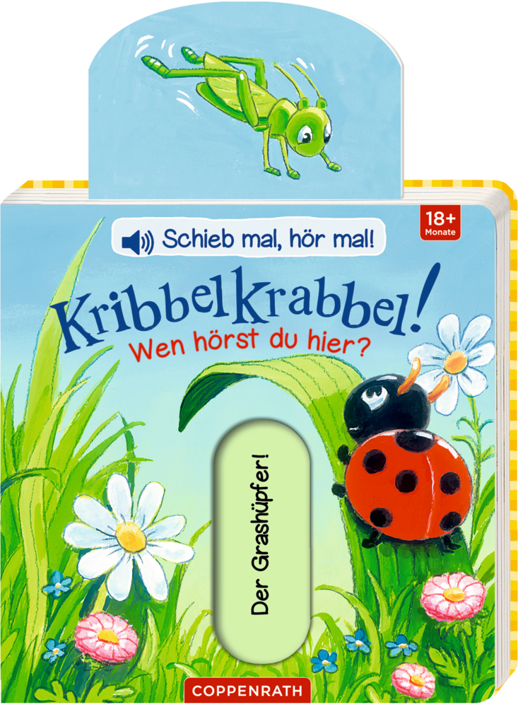 Kinderbuchcover: Marienkäfer, Blumen, Heuschrecke und Text über die Geräusche, die Insekten machen.